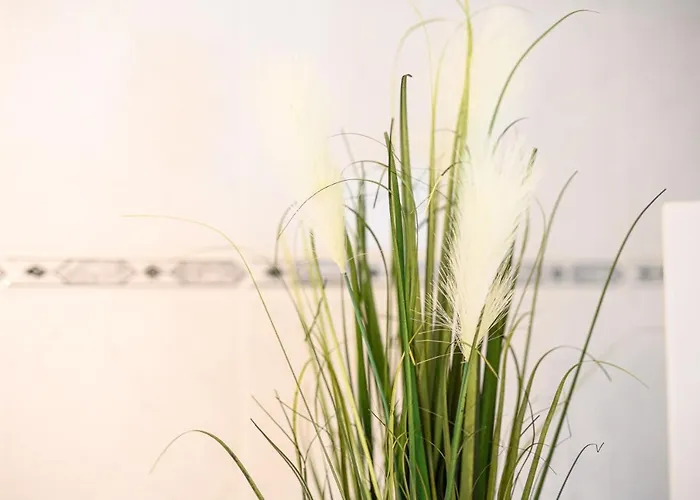 Großzügige Wohnung, Top-lage Auf Dem Werder, Max 4 Personen Apartment *